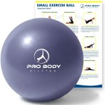 ProBody Pilates Ball 9 Inch - Small Exercise Ball for Stability, Barre, Core, Ab Workouts, Yoga, & Physical Therapy (Indigo)