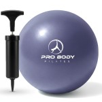 ProBody Pilates Small Exercise Ball with Pump - 9 Inch Workout Ball for Stability, Barre, Yoga, Core & Physical Therapy, Home Gym & Office Use (Indigo)