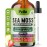 Pella Nutrition Sea Moss Drops with Bladderwrack - 4X Faster Absorption Than Irish Sea Moss Gel Superfood, Gummies, and Capsules - Digestive & Immune Support Supplement (Strawberry Lime, 60mL)