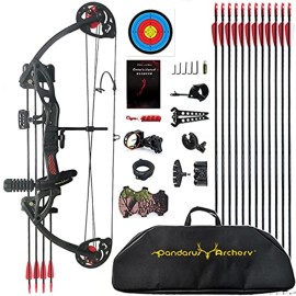 PANDARUS Compound Bow Archery for Youth and Beginner, Right/Left Handed,19-28 Draw Length,15-29 Lbs Draw Weight, 260 fps, Package with Archery Hunting Equipment Carry CaseBlack Right Handed Pro