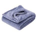 Fuzzy Blanket or Fluffy Blanket for Baby Girl or boy, Soft Warm Cozy Coral Fleece Toddler, Infant or Newborn Receiving Blanket for Crib, Stroller, Travel, Decorative (4060, Pearl Blue)