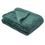 Fuzzy Blanket or Fluffy Blanket for Baby, Soft Warm Cozy Coral Fleece Toddler, Infant or Newborn Receiving Blanket for Crib, Stroller, Travel, Decorative (28Wx40L, XS-Black Green)