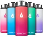 HYDRO CELL Stainless Steel Insulated Water Bottle with Straw - For Cold & Hot Drinks - Metal Vacuum Flask with Screw Cap and Modern Leakproof Sport Thermos for Adults (Coral/Punch 18oz)