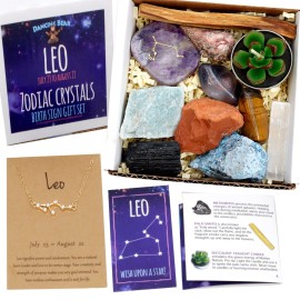 DANCING BEAR Leo Zodiac Healing Crystals Gift Set (14 Pc): 9 Stones, 18K Gold-Plated Constellation Necklace, Meteorite, Succulent Candle, Palo Santo Smudge Stick, and Info Guide, Made in The USA