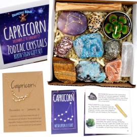 DANCING BEAR Capricorn Zodiac Healing Crystals Gift Set (14 Pc): 9 Stones, 18K Gold-plated Constellation Necklace, Meteorite, Succulent Candle, Palo Santo Smudge stick, and Info Guide, Made in the USA