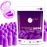 MOLDEX Soft Foam Earplugs Softies Ear Plugs for Sleeping, Snoring, Work, Travel, Shooting -33dB Highest NRR Made in USA (Purple, 50 Pairs)
