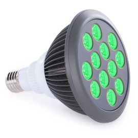 hooga Green Light Therapy Bulb Power Cord Included. 525 nm Wavelength. 12 LEDs. High Irradiance, Can Improve Skin Pigmentation and Fine Lines, and Anti Aging. Migraine and Pain Relief.