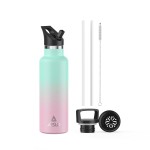 Stainless Steel Water Bottle with Straw - Insulated Water Bottle for Sports, Gym, School, Commute, Adults/Kids - Keep Cold for up to 24 Hours - Sweat/Leak-proof - 2 Lids - BPA Free