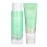 Pacifica Shampoo & Conditioner Set - Rosemary Purify Invigorating Set with Cooling Mint for Clarifying and Detoxing, Sulfate-Free, Vegan & Cruelty-Free, 12 oz & 8 oz (Set of 2)