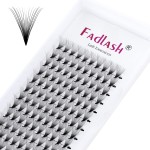 Eyelash Extensions Premade Fans Eyelash Extensions C CC D DD Curl Pointy Tip Pre Fan Eyelashes Premade Lash Extension Fans Volume Lash Extensions Pre Made Volume Lashes (16D-0.07C, 12mm)