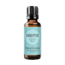 Edens Garden Eucalyptus Around The World Essential Oil- 100% Pure Premium Grade, Undiluted, Natural, Therapeutic, Aromatherapy, The Best for Diffuser, Candle, Laundry, Humidifiers 30 ml (1 fl oz)