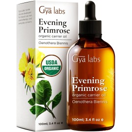 Gya Labs Evening Primrose Carrier Oil - 3.4 Fl Oz - for Hair, Skin, Face, Scalp & Body Massage