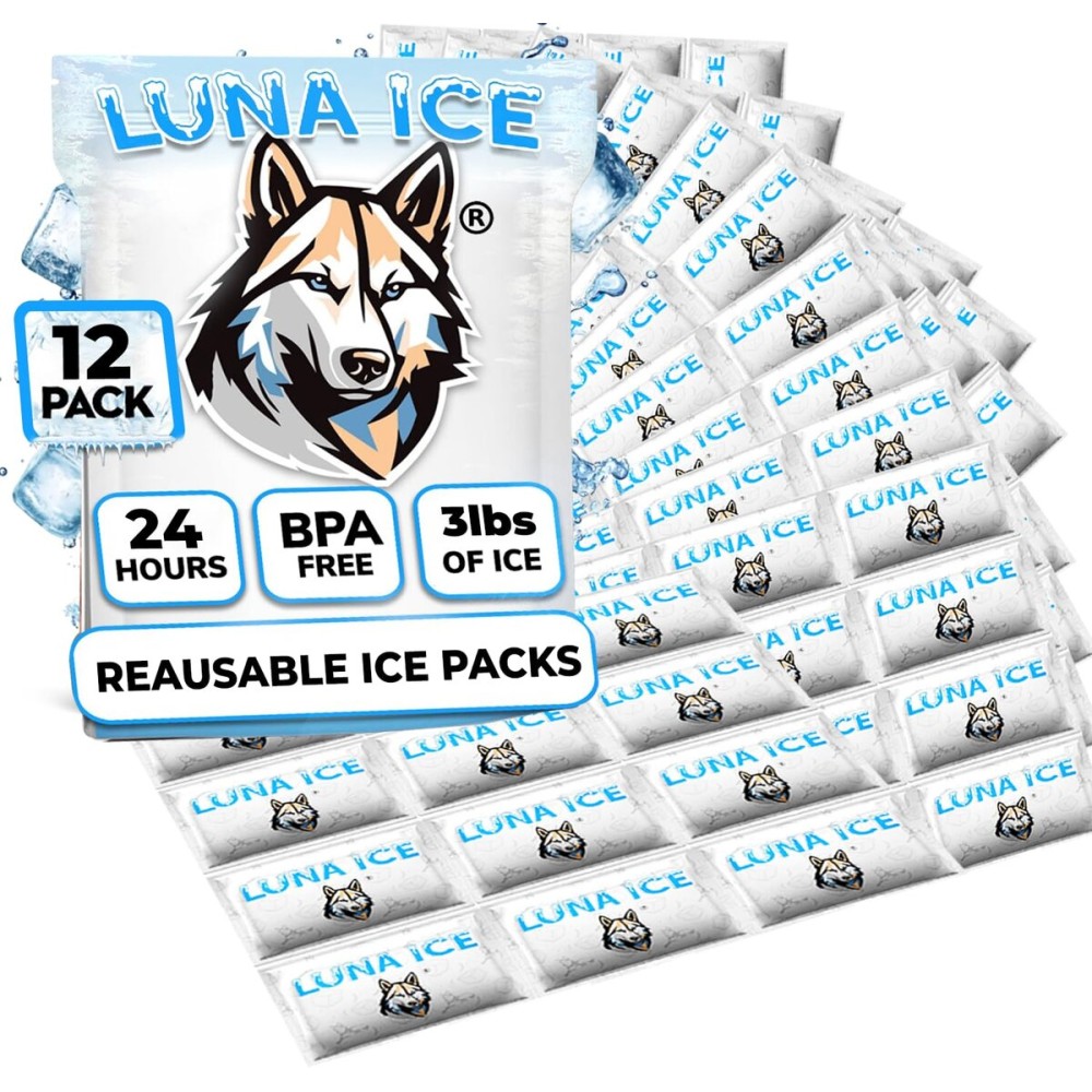 Dry Ice Packs for Shipping - Long Lasting ice Packs - 24+ Hour Freeze Power - BPA Free - 12 Pack Bulk 3 lb - Hielo Seco - Reusable Gel Bricks for Food