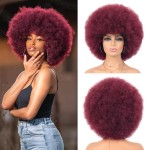 G&T Wig 70s Afro Wig Short Colored Afro Puff 70s Costume Cosplay Party Fun Wigs Short Fluffy Natural Looking Heat Resistant Wig (Wine Red)