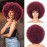 G&T Wig 70s Afro Wig Short Colored Afro Puff 70s Costume Cosplay Party Fun Wigs Short Fluffy Natural Looking Heat Resistant Wig (Wine Red)