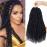 Nice One Pre-Twisted Passion Twist Hair 18 Inch, 112 Strands Long Passion Twist Crochet Hair for Women 8 Packs Pre-Looped Passion Twists Braiding Synthetic Hair Extensions (18 Inch (Pack of 8), 1B)