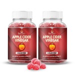 BeLive Apple Cider Vinegar Sugar Free Gummies - Great for Digestion & Healthy Diet - Gluten Free, No Glucose Syrup, ACV Gummies Alternative to Capsules & Drink (120 Ct) - 2 Pack