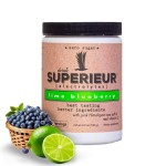 Superieur Electrolytes-Plant Based Electrolyte Supplement w/Sea Minerals for Hydration & Recovery-Keto Friendly, Non-GMO, Zero Sugar, Vegan, Healthy Sports Drink Powder-Lime Blueberry (70 Servings)