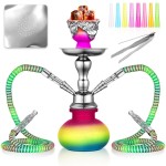 2 Hose Hookah Set 11\'\' Small Shisha Hookah Set With Mini Pumpkin Glass Vase, Ceramic Bowl, Leather Hose, Coal Tong, Hookah Foil, Disposable Tips (Colorful)