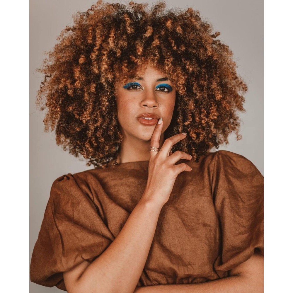 ANNISOUL Curly Wigs for Black Women Afro Bomb Curly Wig with Bangs Synthetic Fiber Glueless Long Kinky Curly Hair Black to Brown 14inch