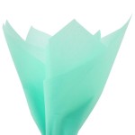 PMLAND 100 Sheets Mint Green Tissue Wrapping Paper Bulk 20 x 15 Inches for Gift Favor Bags Boxes Flowers Packaging Crafts DIY Art Projects and Party Decorations