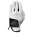 CaddyDaddy Claw PRO Golf Gloves for Men | Flex-Mesh Suede/Design for Cool Ventilation | Lasts 3-5 Times Longer Than Leather | Silicone-Web Coating for Maximum Grip | Washable | White | RH-Small