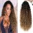Goddess Locs Crochet Hair 18Inch Faux Locs With Curly Ends,Crochet Hair Pre Looped Boho GoddessLocs Hippie Bohemian Crochet Loc for Black Women1B/30/27,18inch)
