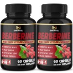 (2 Packs) Berberine Supplement Plus Ceylon Cinnamon, Turmeric, Artichoke, Milk Thistle, Black Pepper - 120 Capsules - 4 Months Supply