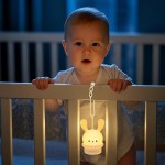 Night Light for Baby Cribs - Portable Rechargeable Led Light Up Toddler Bed Room Hanging Nightlight With Timing & Dimming Function 9 Colors Changing Eye Caring Travel Essentials Soft Silicone BPA Free