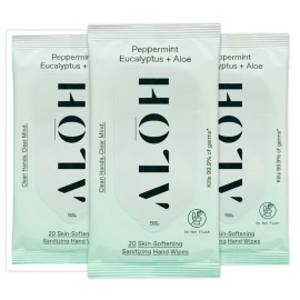 ALH Peppermint Eucalyptus + Aloe Sanitizing Hand Wipes - Clean Hands, Clear Mind On The Go Sanitizer for Kids and Adults - Travel Size 3 Pack 20ct Wipes (60 Wipes)
