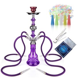 Hookah Set With Everything 4 Hose - GRENAOH 22 Premium Hookah Shisha set with Glass Vase, Ceramic Bowl and Coal Tongs Ashtray (4-Purple)