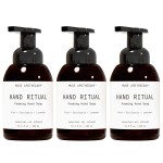 Muse Apothecary Hand Ritual - Aromatic and Nourishing Foaming Hand Soap, Infused with Natural Aromatherapy Essential Oils - USDA Certified Biobased - 11.5 oz, Aloe + Eucalyptus + Lavender, 3 Pack