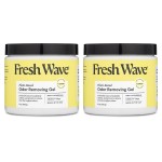 Fresh Wave Lemon Odor Removing Gel, 15 oz., Pack of 2 - Safer Odor Absorbers for Home, Natural Plant-Based Odor Eliminator, Every 15 oz. lasts 30-60 Days, For Cooking, Trash & Pets