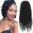 Pretwisted passion twist hair, 8 Inch 9 Packs Passion Twist Crochet Hair,Soft Black Pre Twisted and Looped Crochet Hair For Women Short Black Curly Crochet Twists Braids(8,1B)
