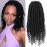 Passion Twist Crochet Hair,12 Inch 9 Packs Pretwisted Passion Twist Hair, Soft Pre Looped And Pre twist Crochet Hair For WomenShort Black Curly Crochet Braids(12,1B)