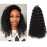GoGo Curl Crochet Hair for Women Water Wave Curly Crochet Hair Wavy Human Hair Deep Wave Beach Curl Crochet Synthetic Hair Extensions (14 inch(Pack of 6), 1B)