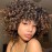 AIDUSA Short Loose Curly Wigs for Black Women Ombre Blonde Wig for Black Women Curly Wig Afro Wigs Synthetic Wig with Bangs Half Wigs for Women Soft Hair Blonde (T30 Black to Light Brown)