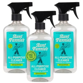 Aunt Fannie\'s All Purpose Household Cleaner, Multi-surface Spray, Powered by Vinegar for Kitchen, Bath, Windows and Countertops, Eucalyptus Scent (Pack of 3)