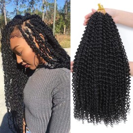 Dansama Passion Twist Hair Water Wave Braiding Hair for Butterfly Style Crochet Braids Bohemian Hair Extensions (18inch, 2, Economy Pack)