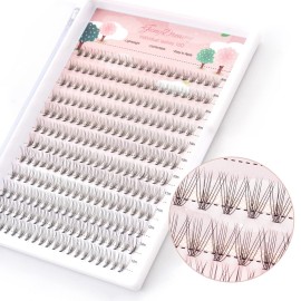 FinyDreamy 10D Lash Clusters 240pcs Individual Lash Extensions Natural Cluster Lashes 8-12mm Mix Lengths C Curl 0.07mm Thickness eyelash Individual Cluster Lashes Apply Under your Lashes(10D 8-12mm)