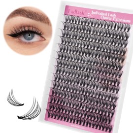 Individual Lashes Large Tray D Curl Lash Clusters 10D 20D 30D 40D Individual Lash Extensions Cluster Lashes Lash Extension Supplies Eyelash Clusters (20D-0.07D, 10mm)
