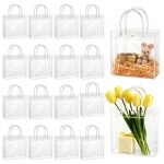 BadenBach 16 Pack Clear Gift Bags with Handle, 8.7 x 8.7 x 3.2 Reusable Plastic Party Favor Bags Bulk, Transparent PVC Tote Bag for Wedding, Birthday, Christmas, Bachelorette, Boutique (22x22x8 cm)