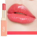 Oulac Watermelon Pink Lipstick - Moisturizing Lip Stick Glossy Tinted Lip Balm, Sheer Shine Juicy Finish, Lightweight and Hydrating Formula for Dry Lip Care, Vegan 2.2g/0.07oz (11)