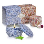 2 Pack Scented Candles, 2.5 oz Aromatherapy Candles for Home Scented, Natural Soy Candles with Floral Scents, Portable Small Jar Candle Set for Travel, Spa, Bath, Home Decor Tin Candle Pack