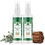 Foot Sense - Shoe Deodorizer & Foot Spray - Natural Foot & Shoe Odor Eliminator for Smelly Feet, Shoes & Sports Gear, Long-Lasting Refreshener for Adults & Kids - 5oz, 2 Pack