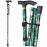 CLOKTA Folding Cane, 5-Level Adjustable Height Lightweight Portable Foldable Walking Canes with Wrist Strap and T Handle for Men Women Seniors (Floral Green)