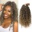 Goddess Locs Crochet Hair Short Curly Faux Locs 12Inch Pre-looped River Locs Hippie Locs Bohemian Crochet Braids for Black Women 4Packs(1B/27, 12inch)