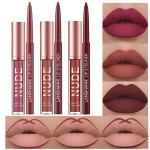 BestLand 6Pcs Matte Liquid Lipstick and Lip Liner Set, Non-Stick Cup Not Fade Waterproof 24 Hour Lip Gloss Nude Brown Lip Liner Pencil for Women, labiales mate 24 horas originales (Set D)