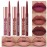 BestLand 6Pcs Matte Liquid Lipstick and Lip Liner Set, Non-Stick Cup Not Fade Waterproof 24 Hour Lip Gloss Nude Brown Lip Liner Pencil for Women, labiales mate 24 horas originales (Set D)