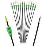 GPP 12PK 28 Fiberglass Archery Target Arrows - Practice Arrow or Youth Arrow for Recurve Bow,Green & Yellow Vanes